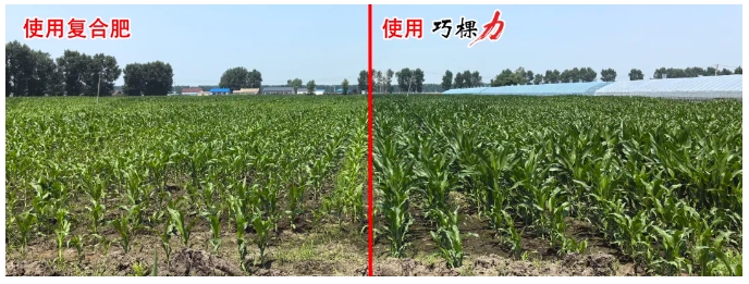 1723423444732961.png 微信截圖_20240812084348.png