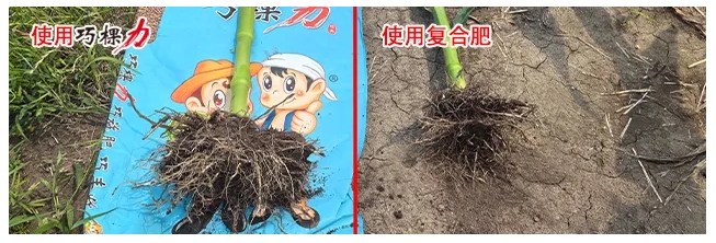 1723423507906311.png 微信截圖_20240812084429.png
