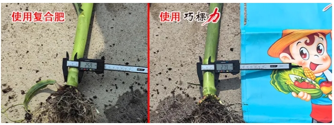 1723423528814899.png 微信截圖_20240812084439.png
