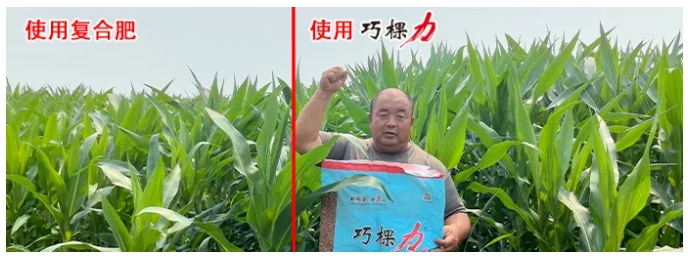 1723423546304585.png 微信截圖_20240812084450.png